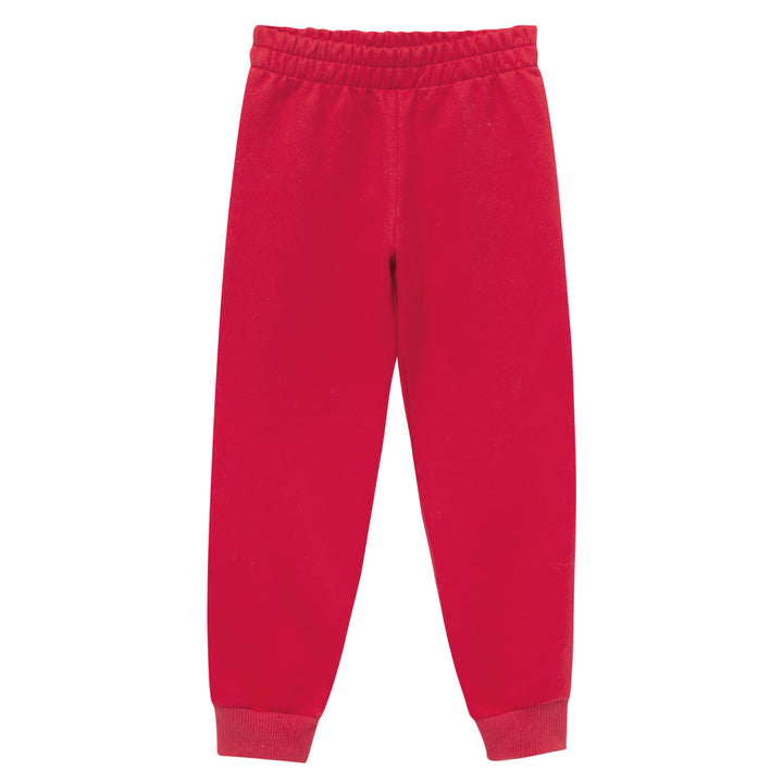 Conjunto sudadera pantalon bordados