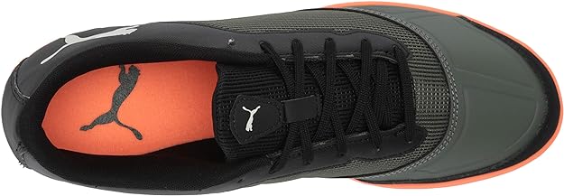 Zapatilla Puma Zapatilla 365 Futsal 2