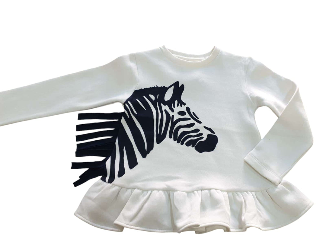 conjunto zebra