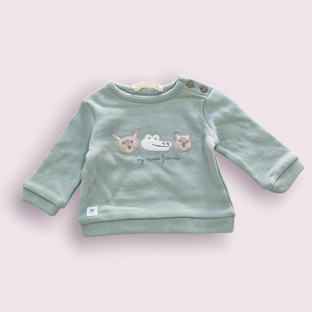 conjunto cocodrilo verde