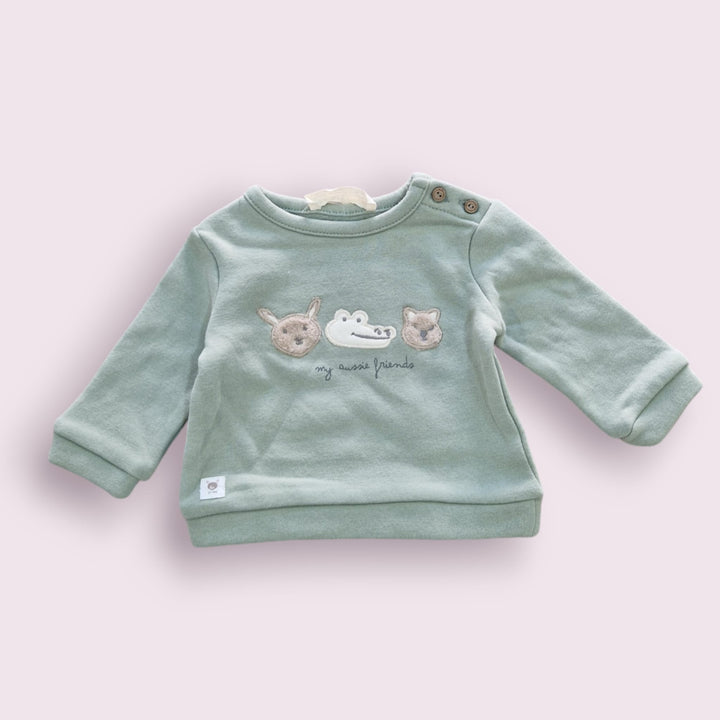 conjunto cocodrilo verde