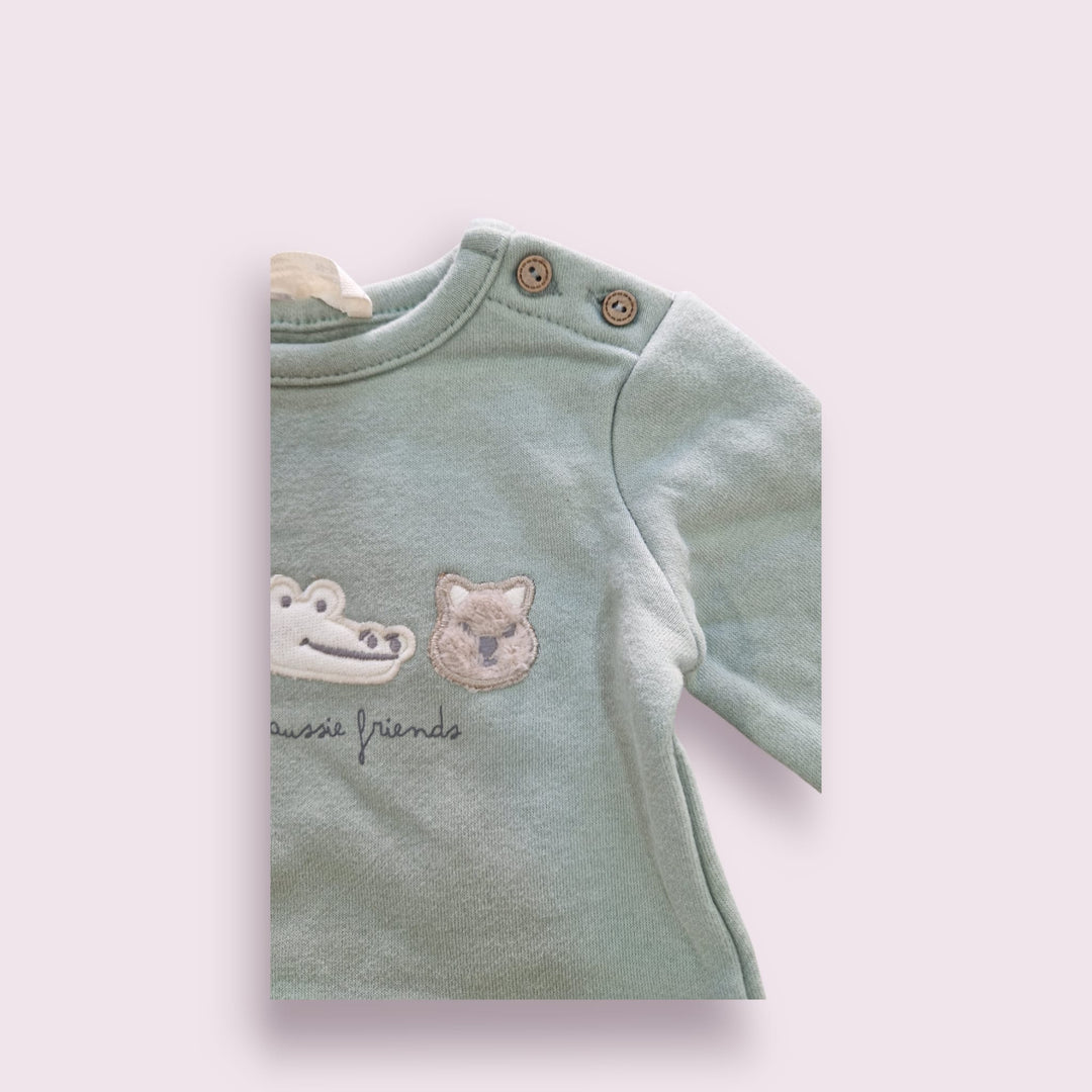 conjunto cocodrilo verde