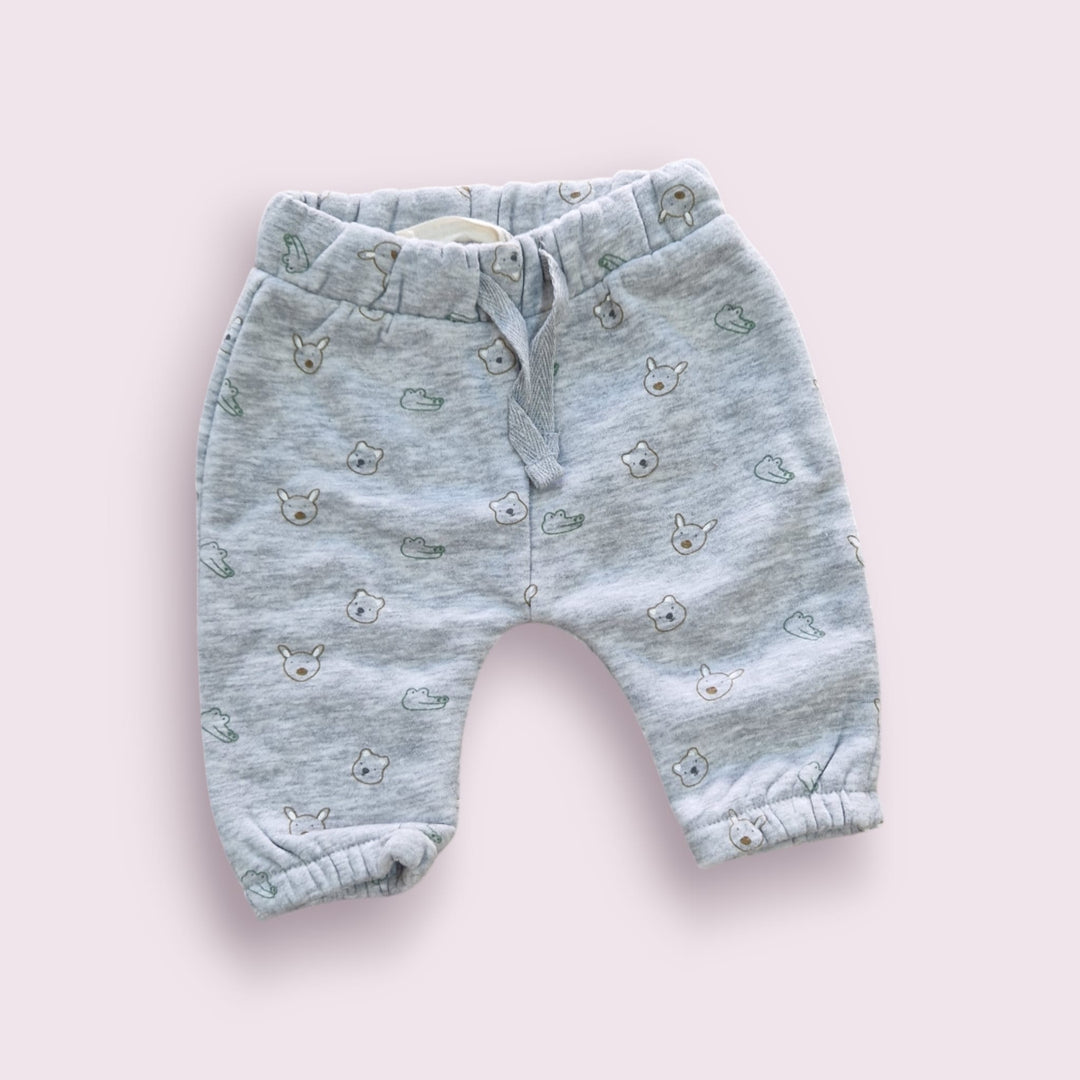 conjunto cocodrilo verde