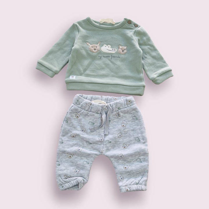 conjunto cocodrilo verde