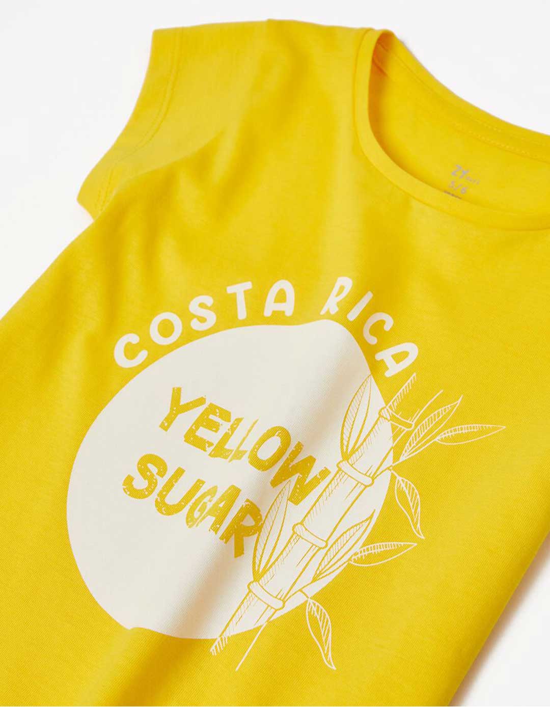 Camiseta Pura Vida Zppy