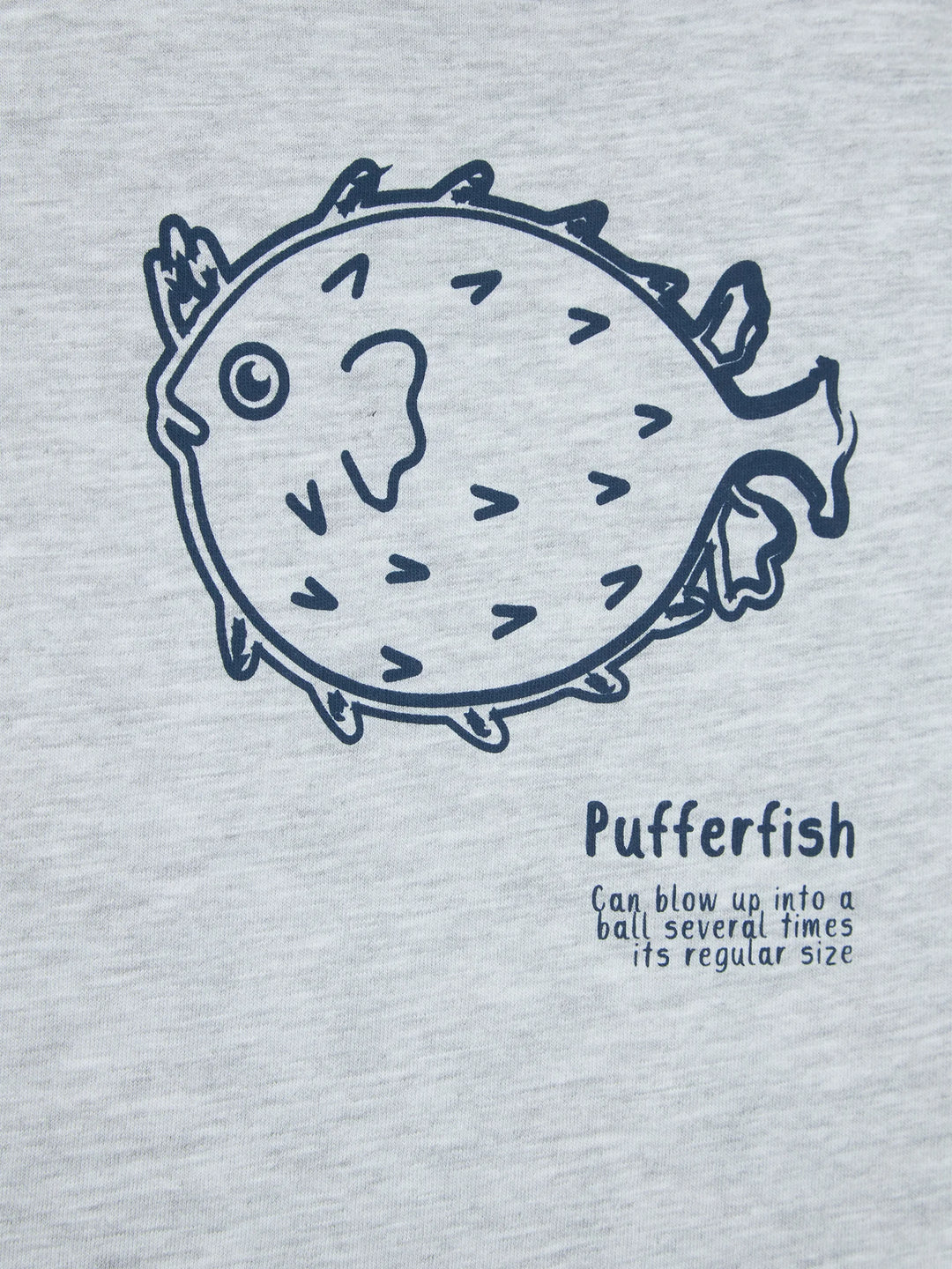 Pack 2 Camiseta Peces Zippy
